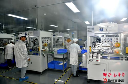 科技企業(yè)奮楫第四季度 電子產品技術開發(fā)的新機遇與挑戰(zhàn)